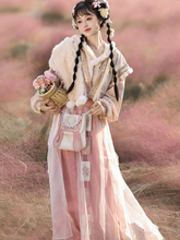 Load image into Gallery viewer, Chinese ancient style pink Hanfu 丨 宋制胡璇脘纱【4-Piece Set RF9418】