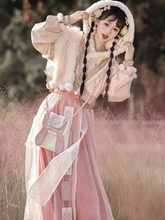 Load image into Gallery viewer, Chinese ancient style pink Hanfu 丨 宋制胡璇脘纱【4-Piece Set RF9418】