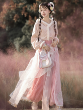 Load image into Gallery viewer, Chinese ancient style pink Hanfu 丨 宋制胡璇脘纱【4-Piece Set RF9418】
